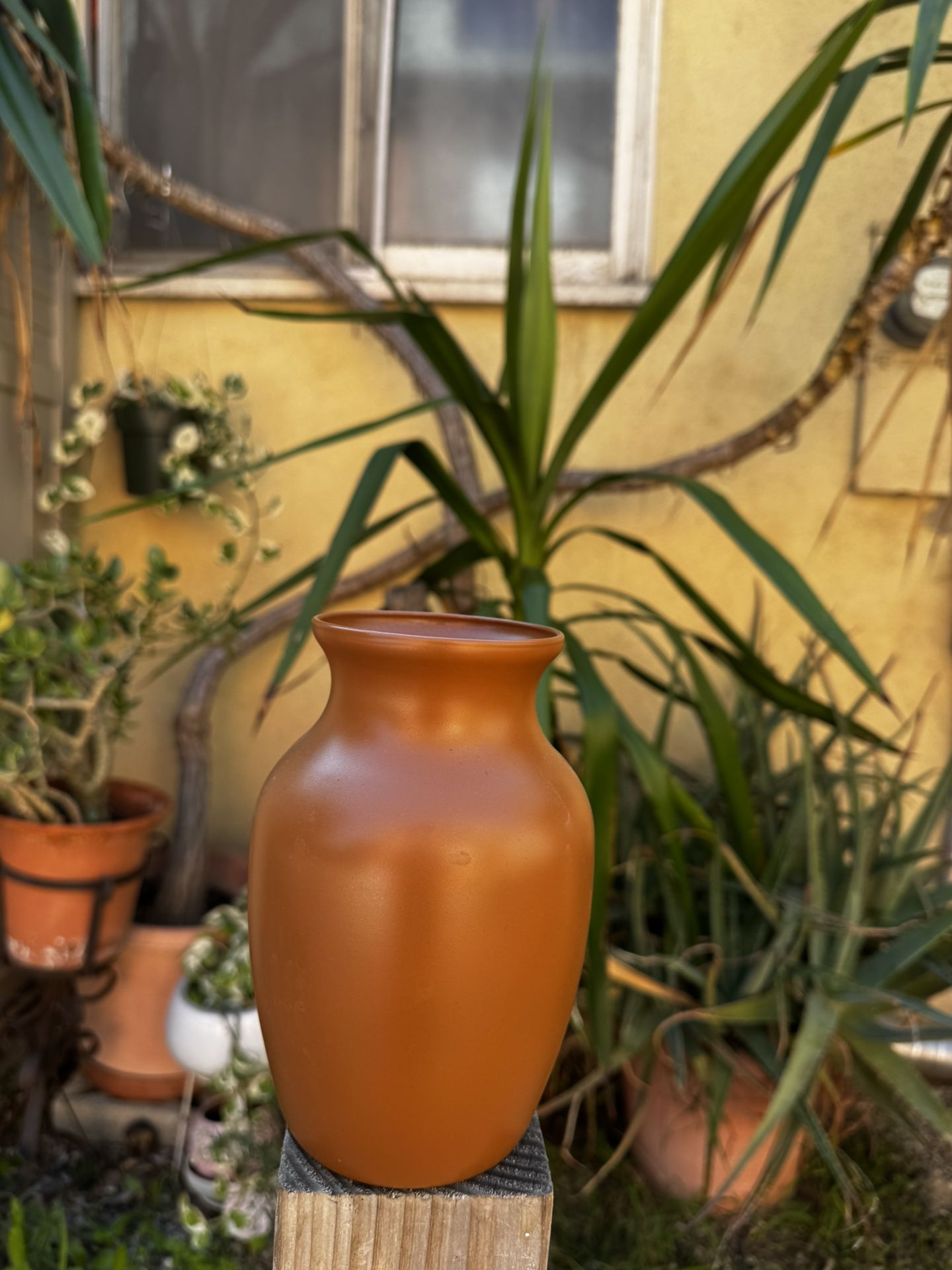 Terracota Painted Glass Vases