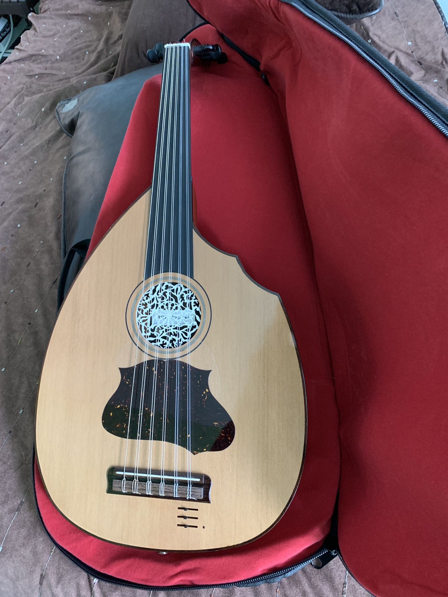 Najarian Electric Oud - World Renowned