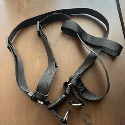 Black Dog Harness