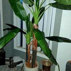 Artificial 6ft Plant