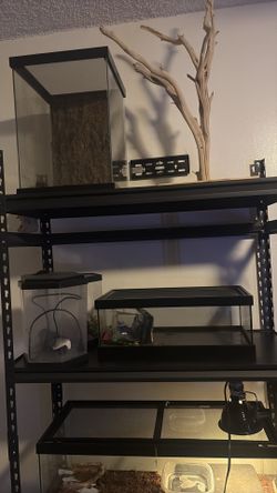Tank Enclosure Terrarium Aquarium Vivarium