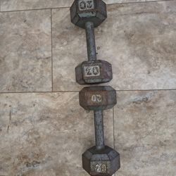 Two 20 Lb Dumbbells 