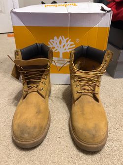 Timberland 6inch (Wheat)