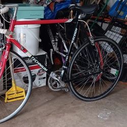 Raleigh Technium Tri-Lite road bike 1988