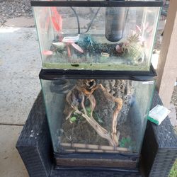 Reptilian and Mini Fish Tank.