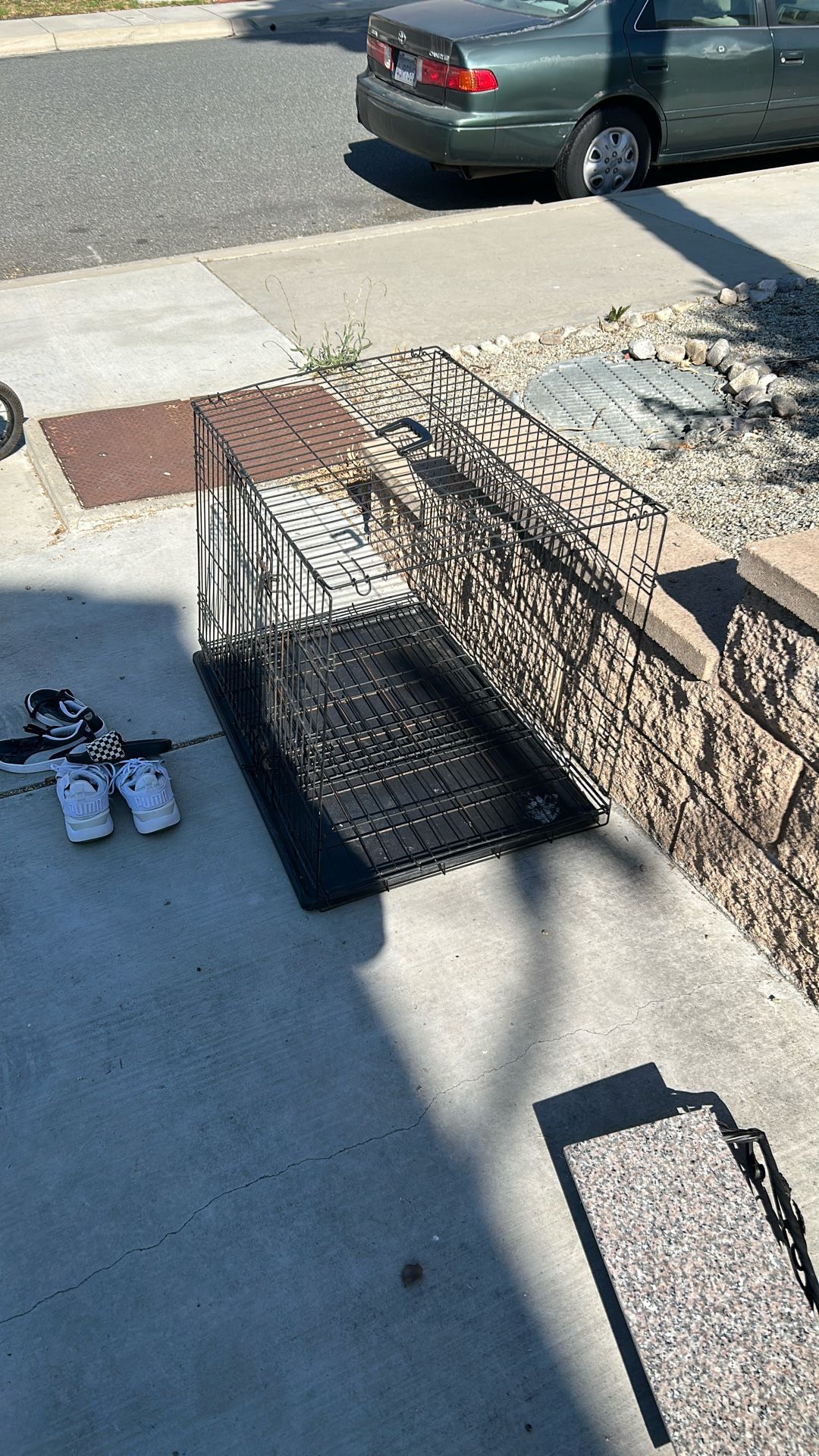 Dog Crate