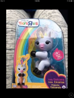 Toy