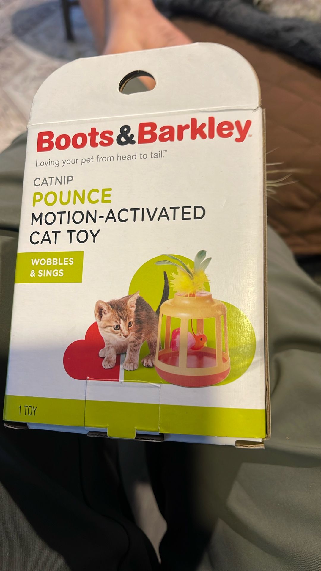 Cat Toy