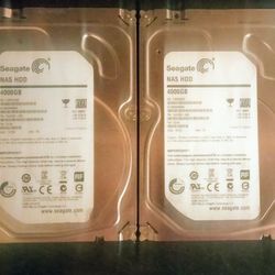 Two 4 TB Internal Hard Drives 