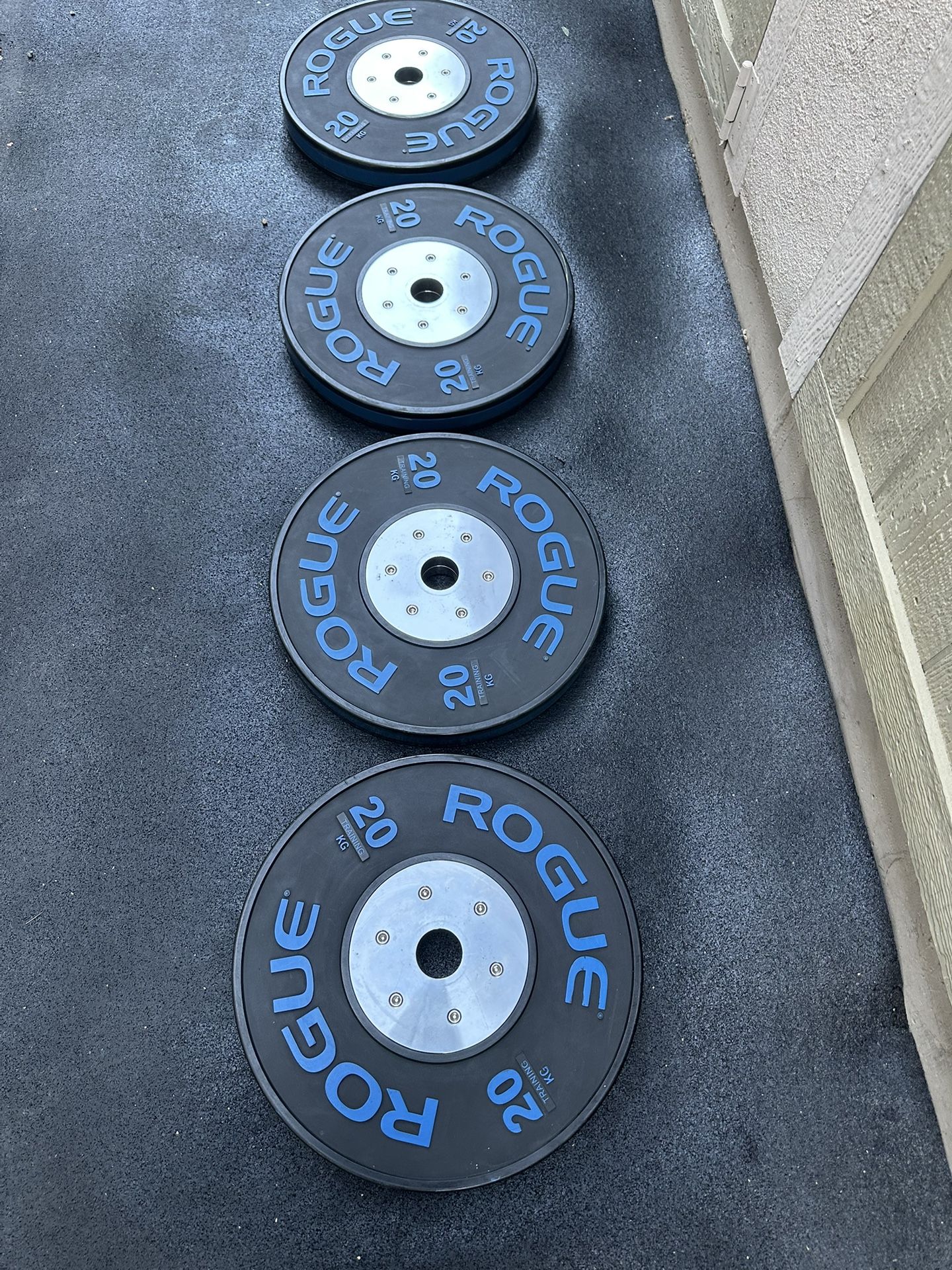 ROGIE TRAINING KG PLATES ASKING $300 PAIR