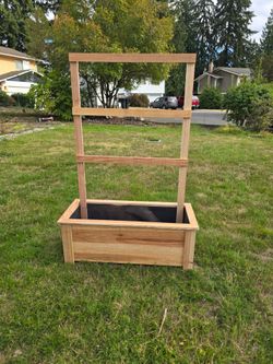 Cedar planter