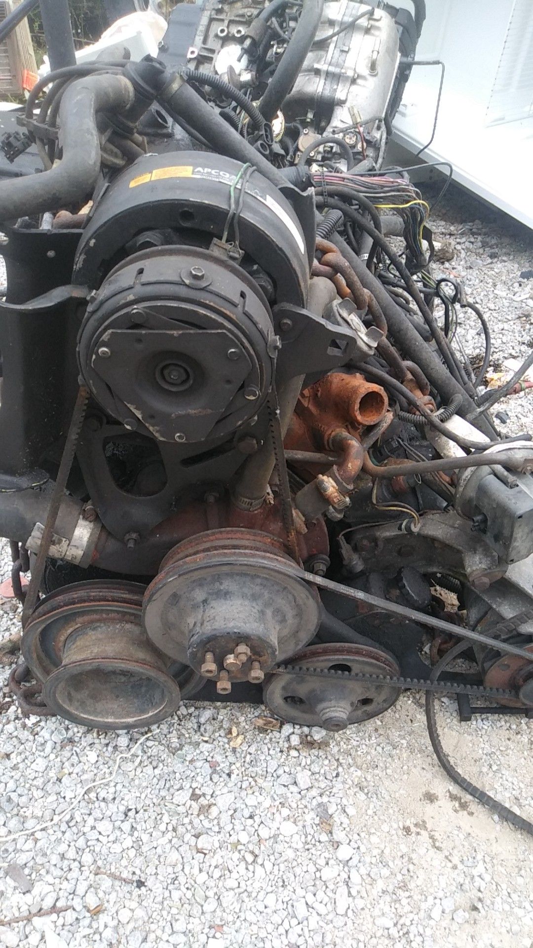 Motor