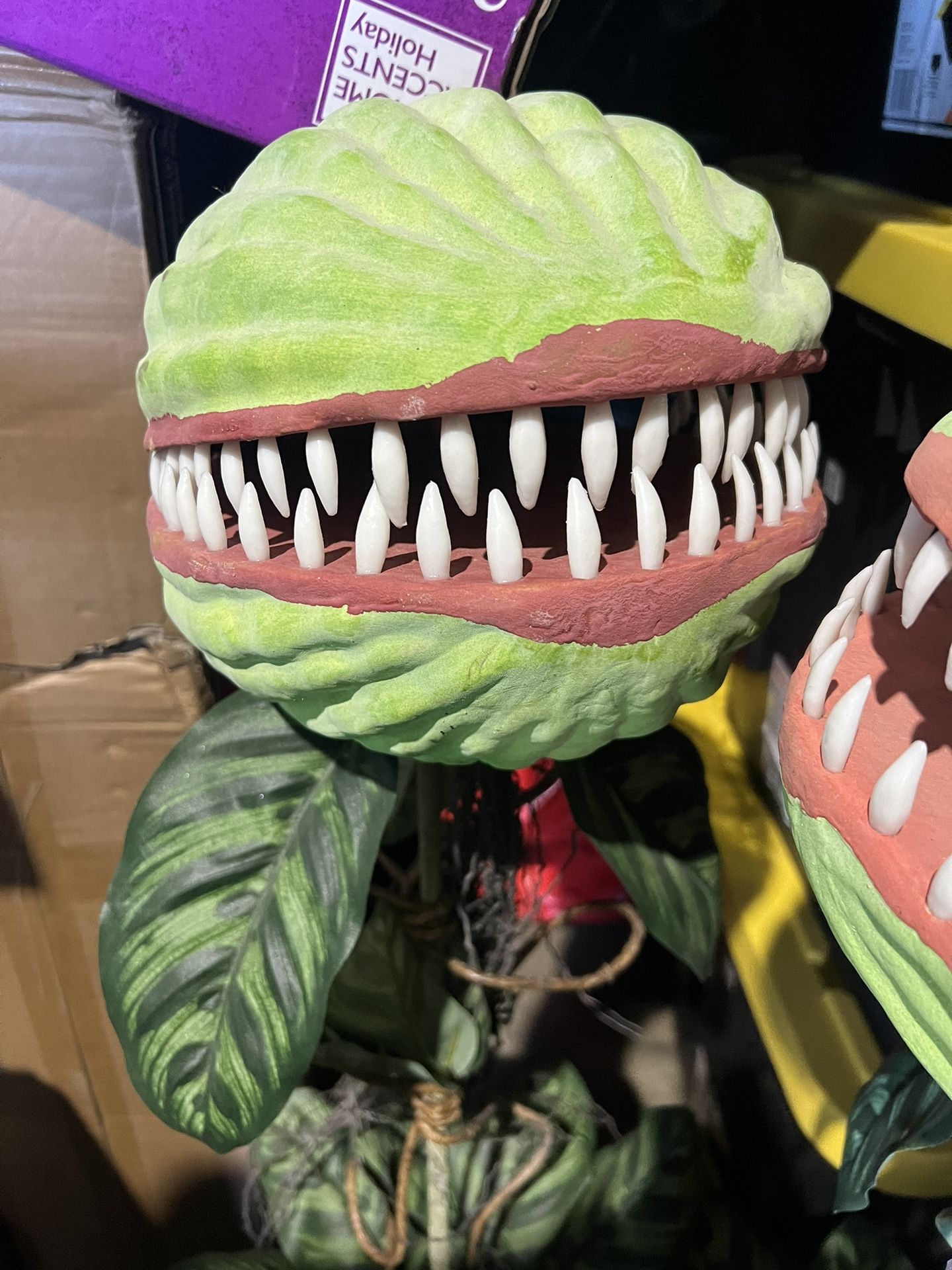 47 Inch Venus Fly Trap / Halloween Decorations / Plants