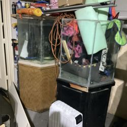 Fish Tank And Reptile Tank