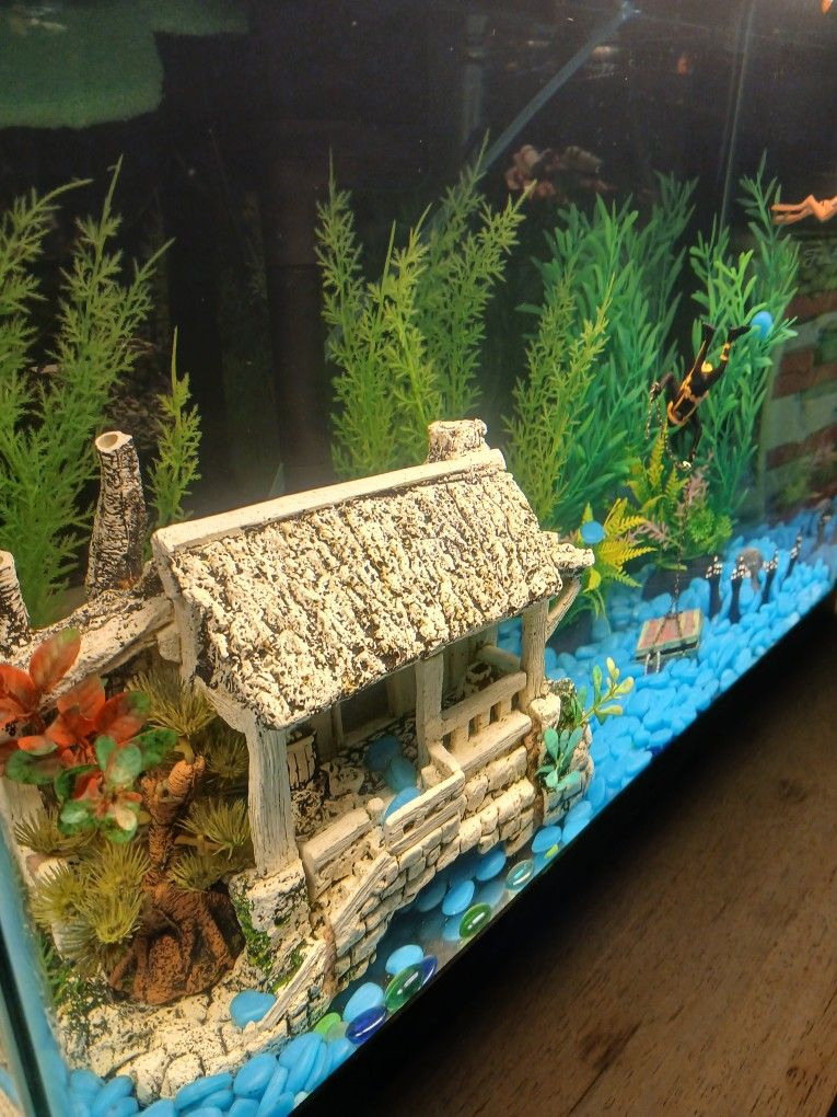 25 Gallon Tank $120. With Stand $180. Includes Delivery And Setup