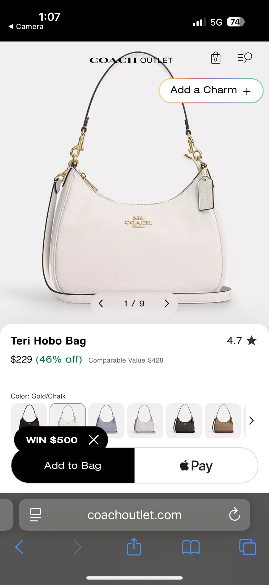 Teri Hobo Coach Bag