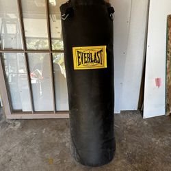 85 Pound Everlast Punching Bag And Stand 
