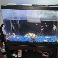 75 Gallon Fish Tank For Sale With Fluval Filter