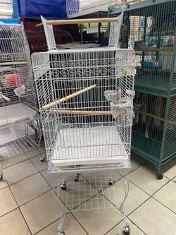 Parrot Cages 