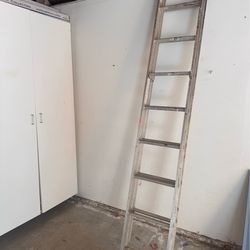 Werner Extension Ladder