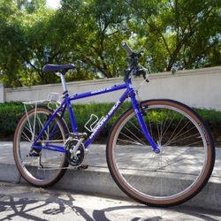 Diamond Back Ascent EX Retro Mountain Bike