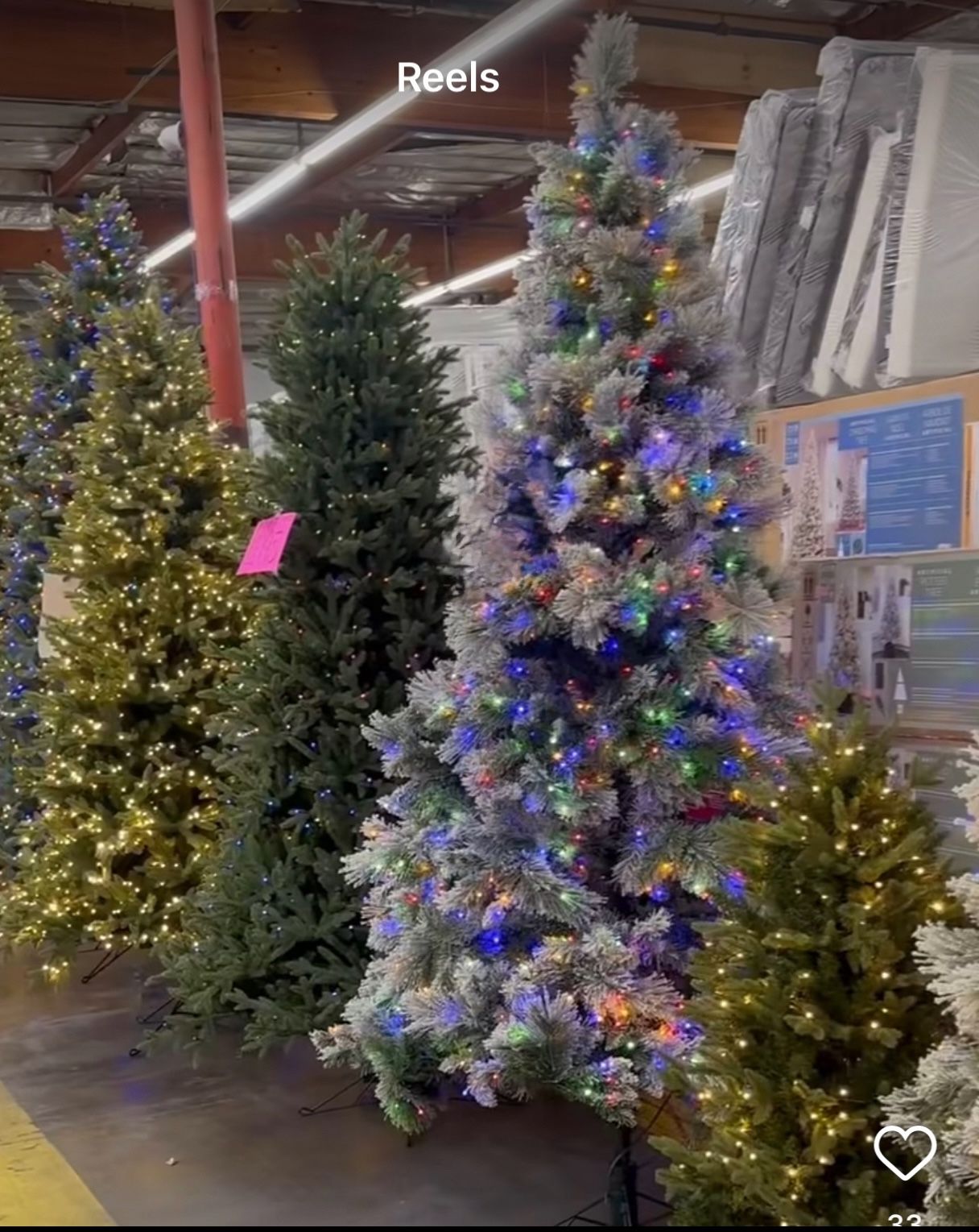 Costco Christmas Trees