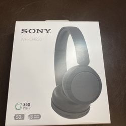 Sony WH-CH520