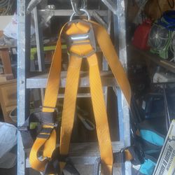 Harness 