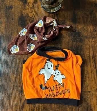 Dog Size Small Halloween Costume and Scraf just $3