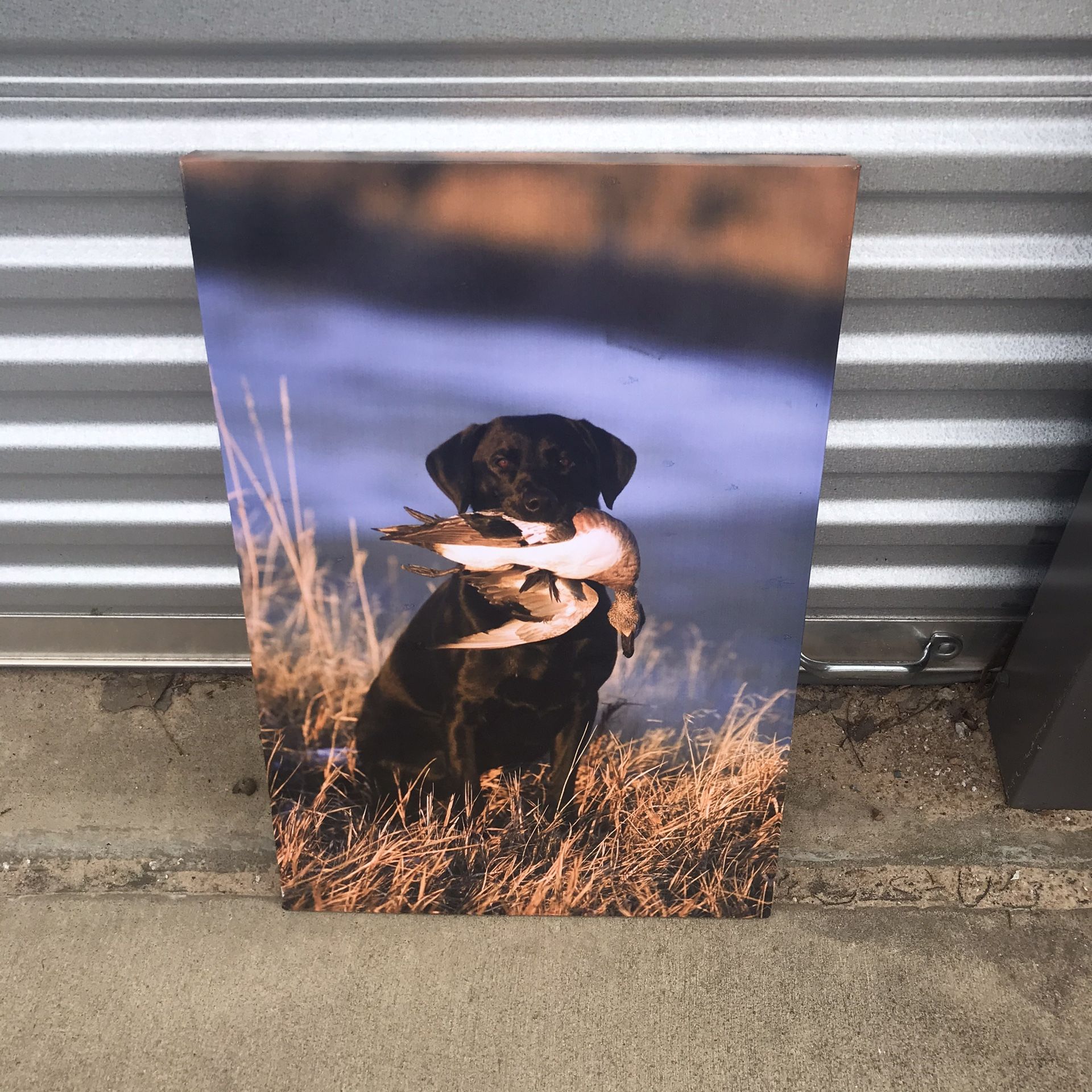 Dog Wall Canvas