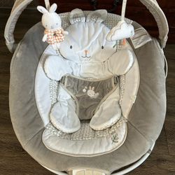 Ingenuity Baby Bouncer 