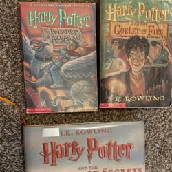 Book Series’s (HARRY POTTER, I Survived, The Last Kids On Earth & More)