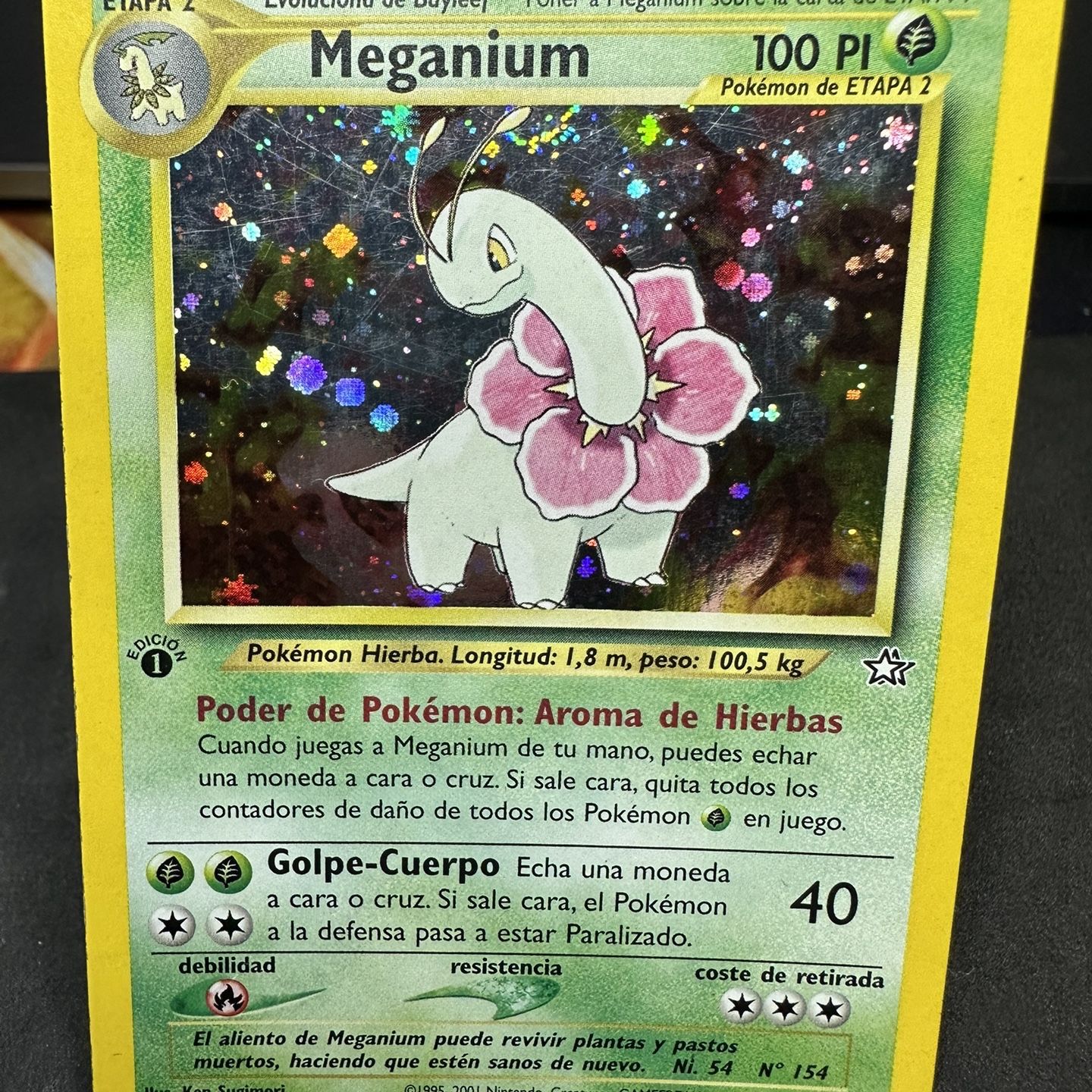 Pokémon Pichu First Edition Holo Spanish (2001) for Sale in Seattle, WA -  OfferUp