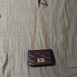 Bebe Black And Gold Purse 