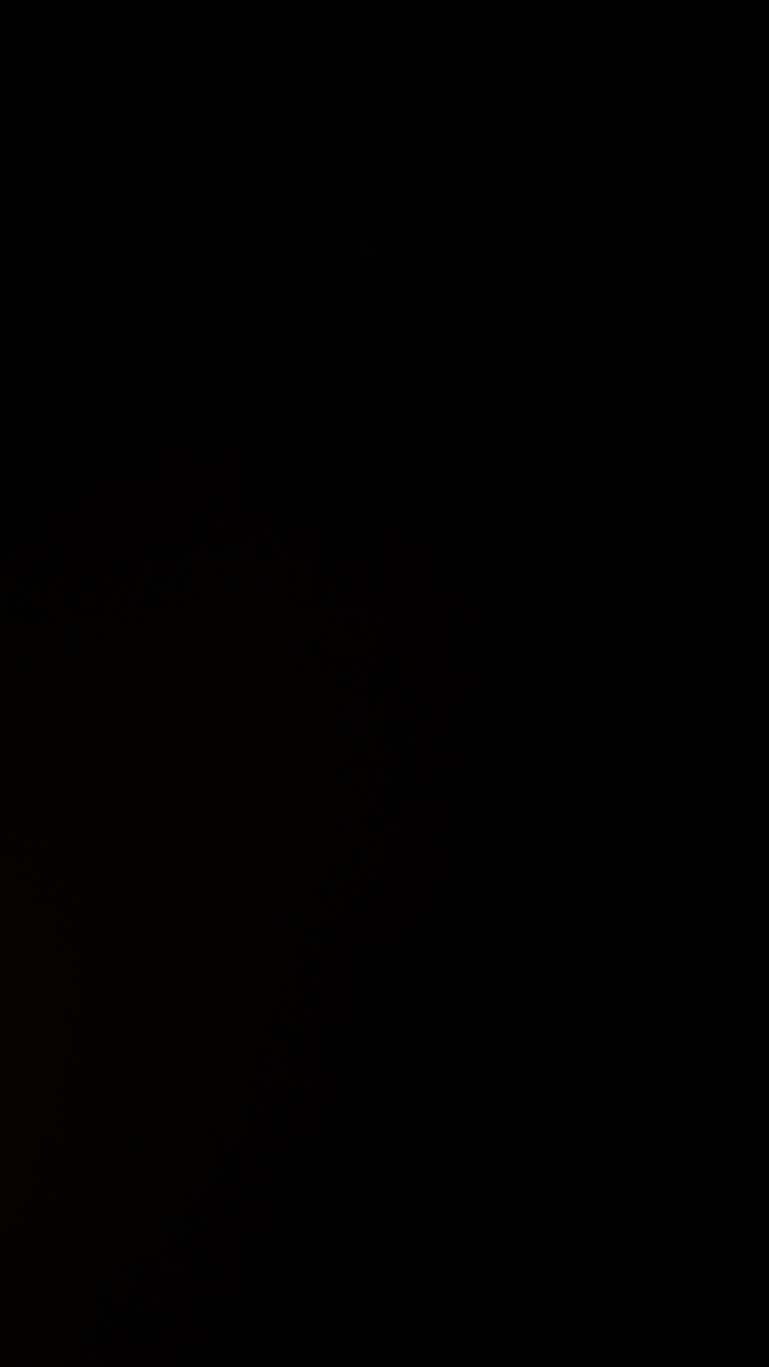 maltese puppy (boy), reply for photos