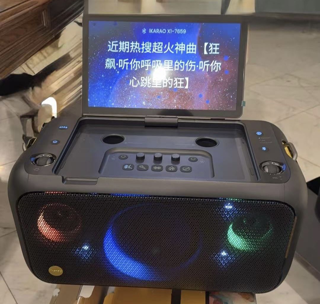 Karaoke Machine for Adults with Lyrics Display