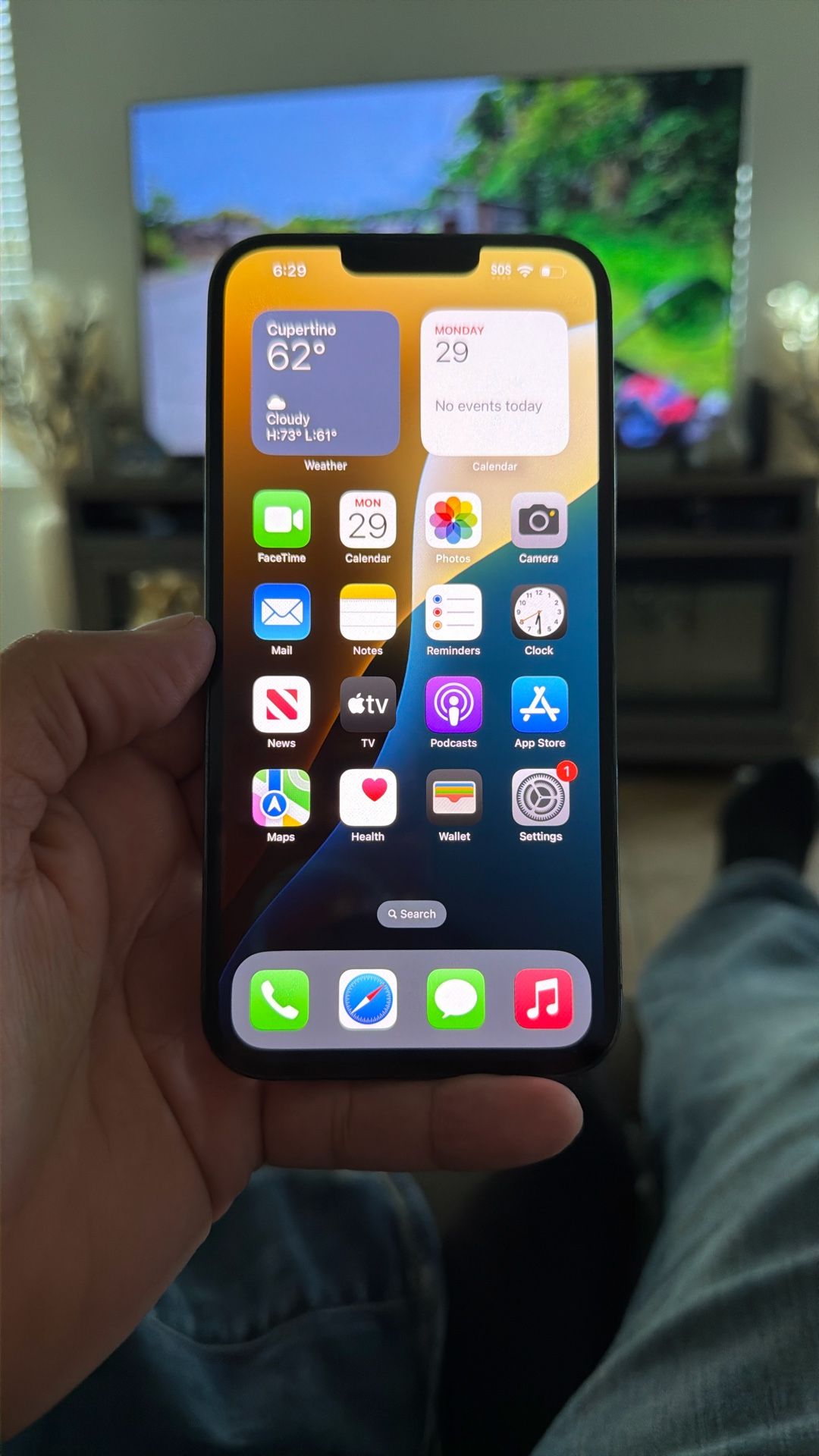 iPhone 13 Promax