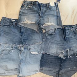 Target Women Short Sz12