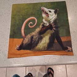 18" Funny Opposum Pillow Cover