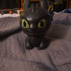 Toothless Bucket