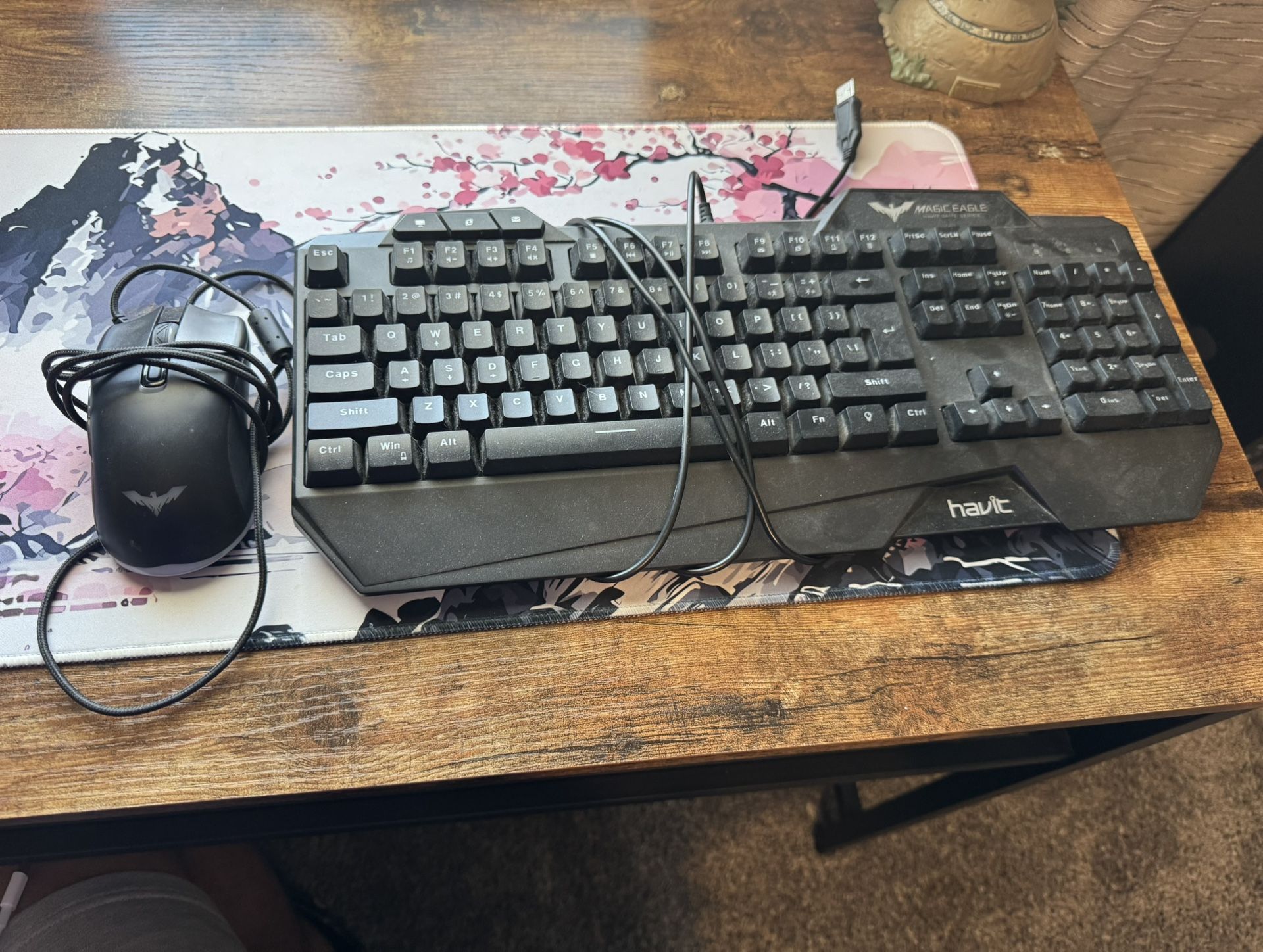 Keyboard & Mouse 