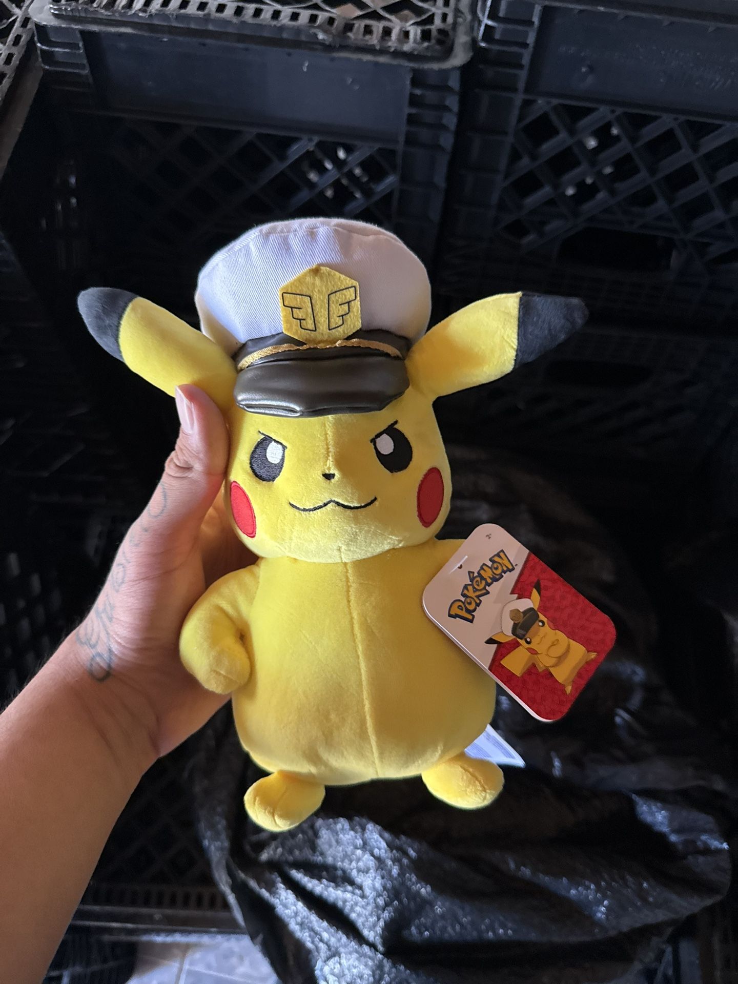 Pokémon Plushies