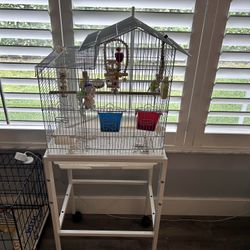 Bird Cage With Parakeet Included 