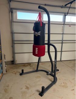 Everlast Punching Bag, Stand, and Gloves