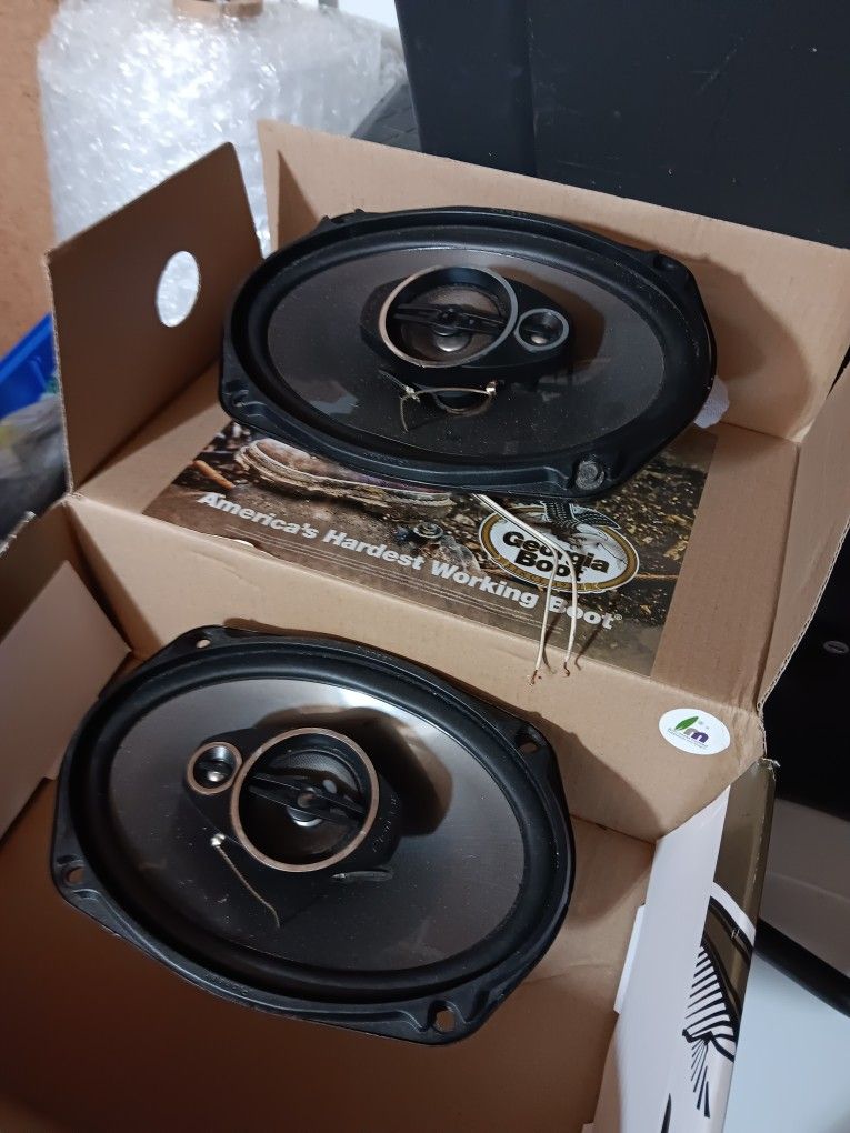 Pioneer 6x9s Speakers