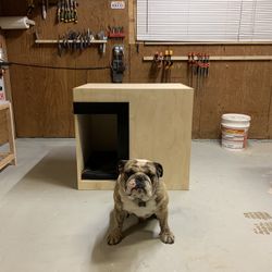 Dog House Read Description