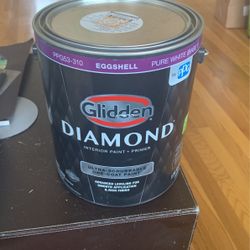 Brand New Gallon Paint, Soft Green ‘Secret Crush’