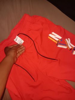 Nike Shorts Brand New
