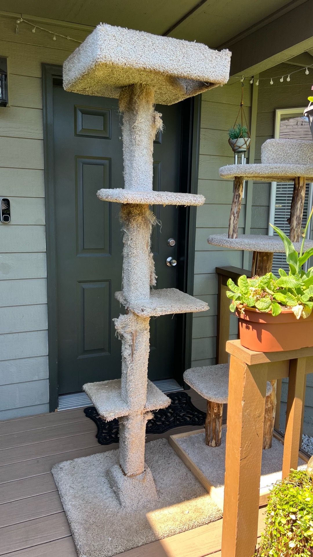 Free cat tree