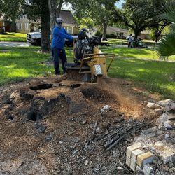Stump Grinding 